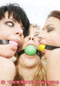 Three bitches gagged outdoor.